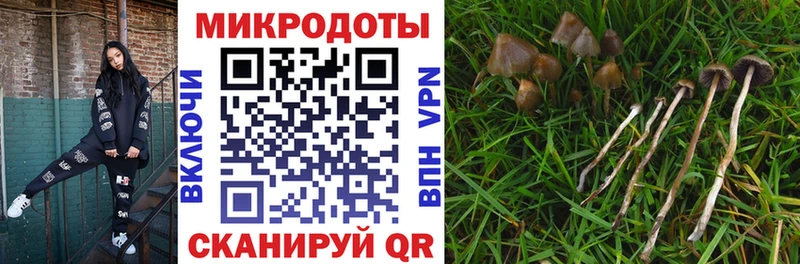 Галлюциногенные грибы Magic Shrooms  наркошоп  Чегем 
